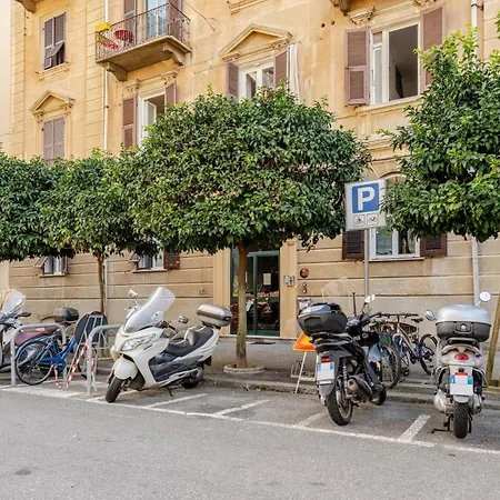 Domvs V Terrae Apartman *