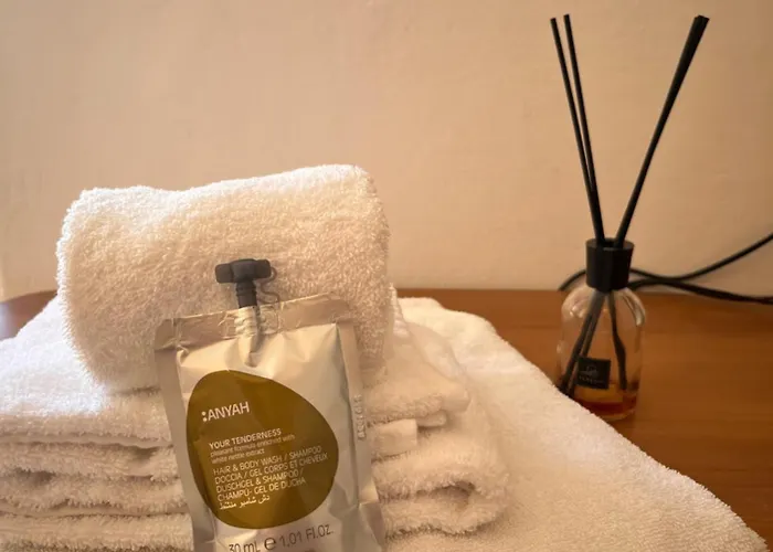 Apartment Domvs V Terrae *